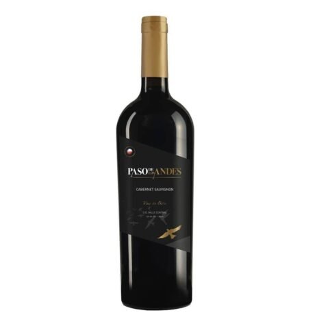 Vinho Paso de Los Andes Carmenere 750ml